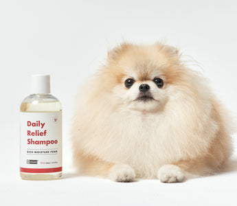 How to Choose the Right Dog Shampoo