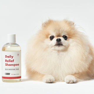 How to Choose the Right Dog Shampoo