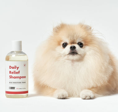 How to Choose the Right Dog Shampoo