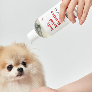 How to Bathe Dogs with Sensitive, Allergic, or Seborrheic Skin