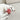 How One Toy Can Relieve Stress in Indoor Cats – The Red Cat Ball Story