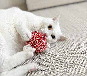 How One Toy Can Relieve Stress in Indoor Cats – The Red Cat Ball Story