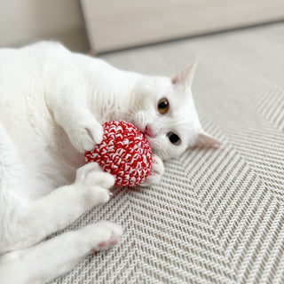 How One Toy Can Relieve Stress in Indoor Cats – The Red Cat Ball Story