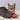 The Ultimate Guide Of Cat Toys