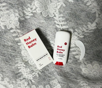 How to Care for Your Dog's Paws After a Walk