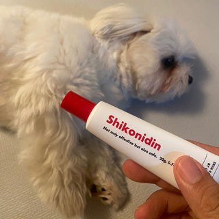 One effective way to protect your dog's skin