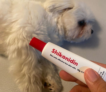 One effective way to protect your dog's skin