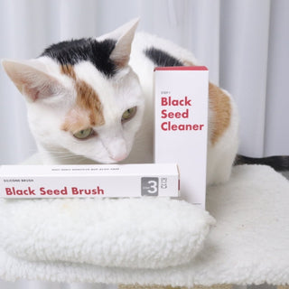 How We Created the Cat Blackhead Free Kit