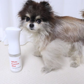 What is White Essence Mist?