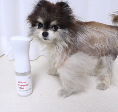 What is White Essence Mist?