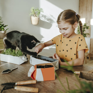 Why do Cats Love Matatabi Leaves?