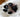 The Most Effective Dog Moisturizer for Eczema