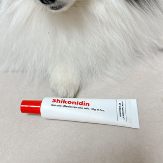 The Best Dog Lotion to Keep Noses Healthy