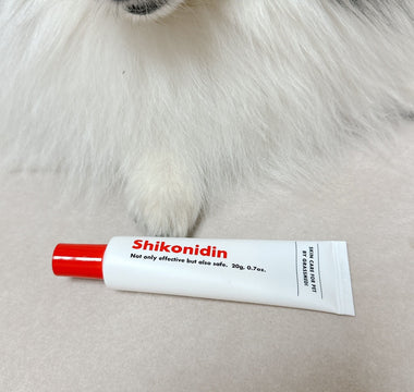 The Best Dog Lotion to Keep Noses Healthy