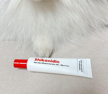 The Best Dog Lotion to Keep Noses Healthy