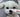 How to Take Care of Your Dog's Skin on a Snowy Day