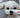 How to Take Care of Your Dog's Skin on a Snowy Day