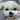 How to Take Care of Your Dog's Skin on a Snowy Day