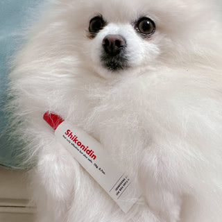 How to Manage Seborrheic Dermatitis in Dogs