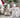 Winter pet care with JAYU PET