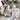 Winter pet care with JAYU PET