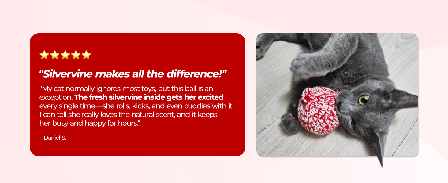 JAYU PET Red Cat Ball premium content