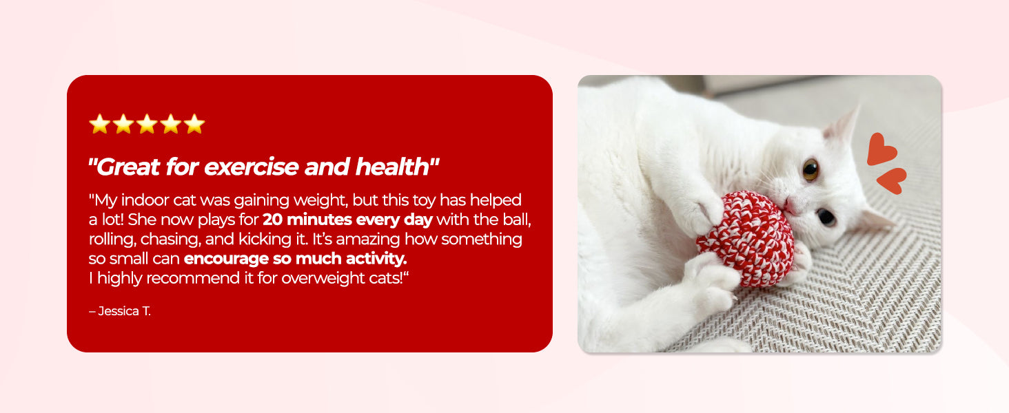 JAYU PET Red Cat Ball product guide