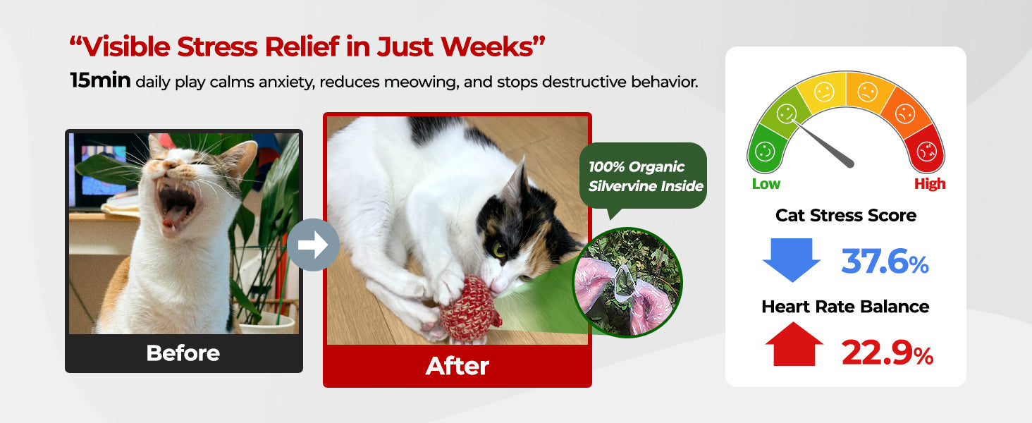 JAYU PET Red Cat Ball product information