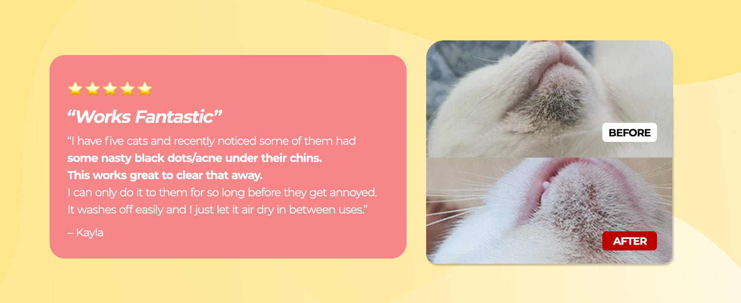 JAYU PET Cat Blackhead Free Kit customer review