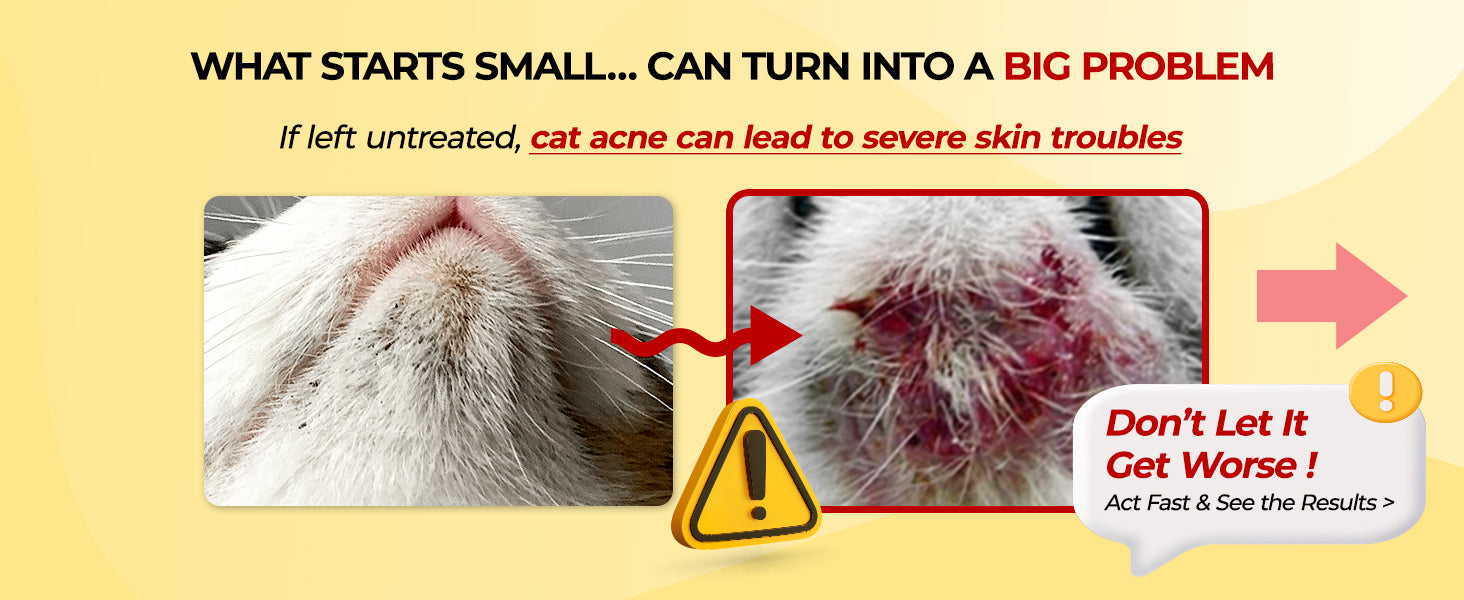 JAYU PET Cat Blackhead Free Kit usage guide