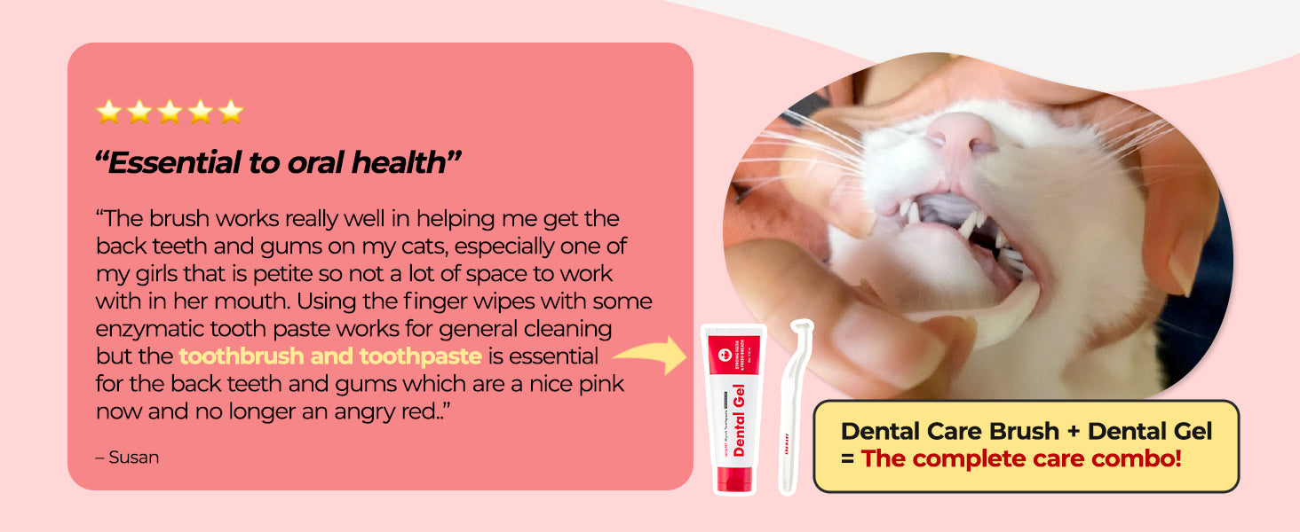 JAYU PET Dental Care Brush Soft Bristles customer review