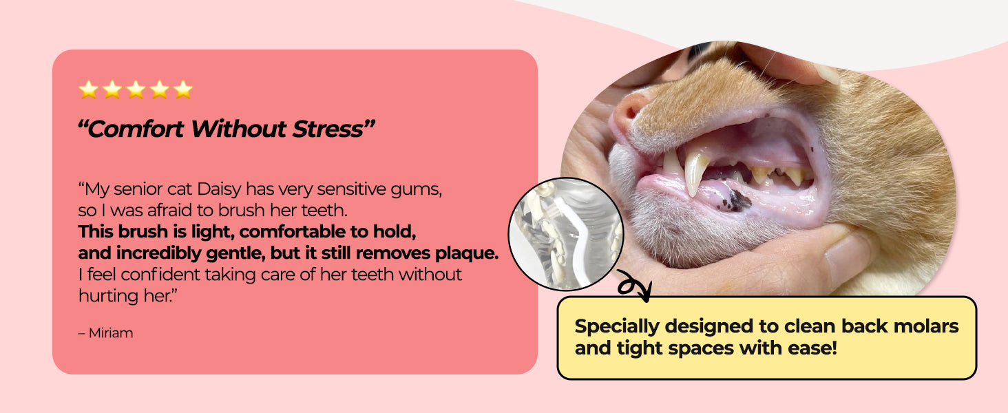 JAYU PET Dental Care Brush Soft Bristles customer review