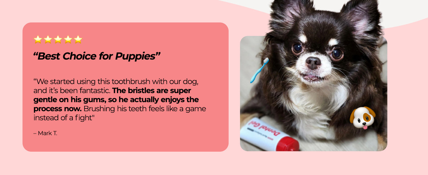 JAYU PET Dental Care Brush Soft Bristles customer review