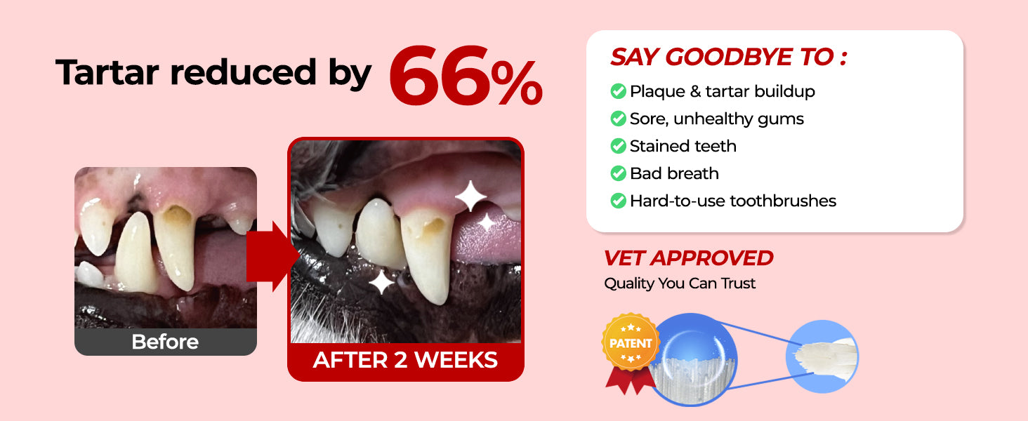 JAYU PET Dental Care Brush Soft Bristles guide
