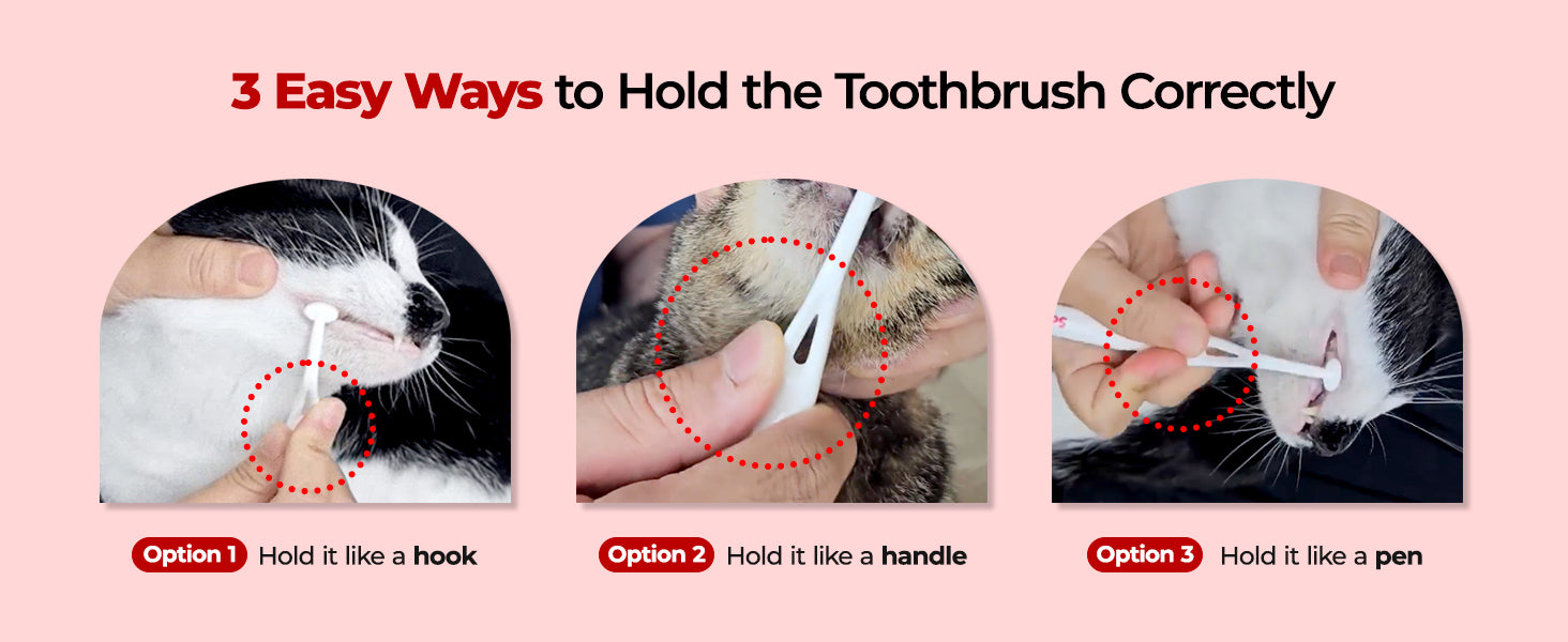 JAYU PET Dental Care Brush Soft Bristles comparison