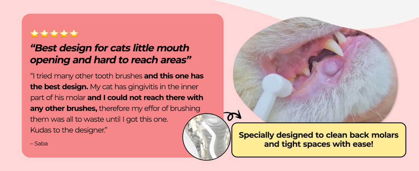 JAYU PET Dental Care Brush Edge Bristles customer review