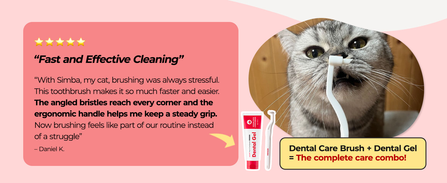 JAYU PET Dental Care Brush Edge Bristles customer review