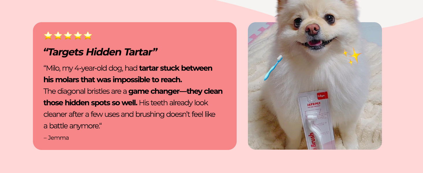 JAYU PET Dental Care Brush Edge Bristles customer review