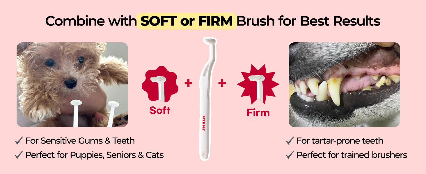 JAYU PET Dental Care Brush Edge Bristles premium content