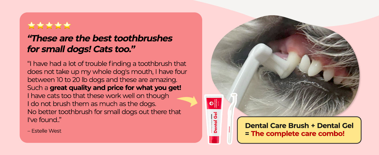 JAYU PET Dental Care Brush Firm Bristles customer review