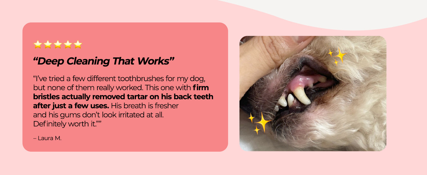 JAYU PET Dental Care Brush Firm Bristles customer review