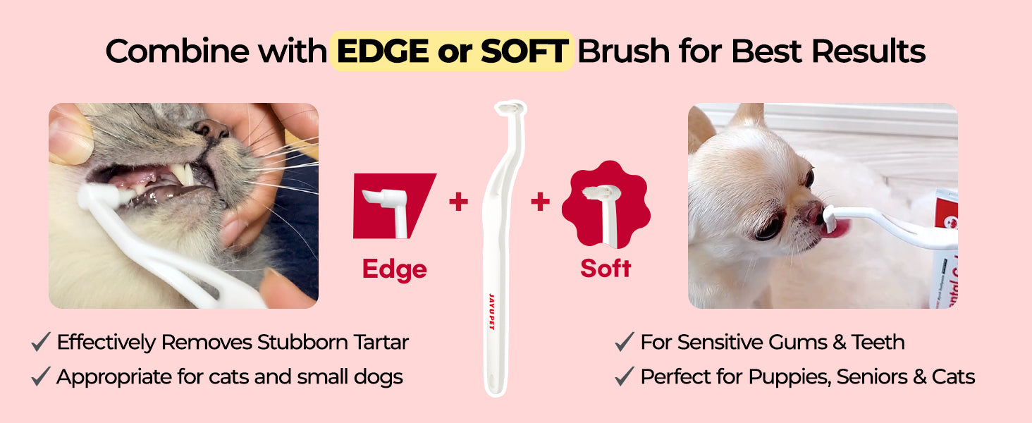 JAYU PET Dental Care Brush Firm Bristles premium content