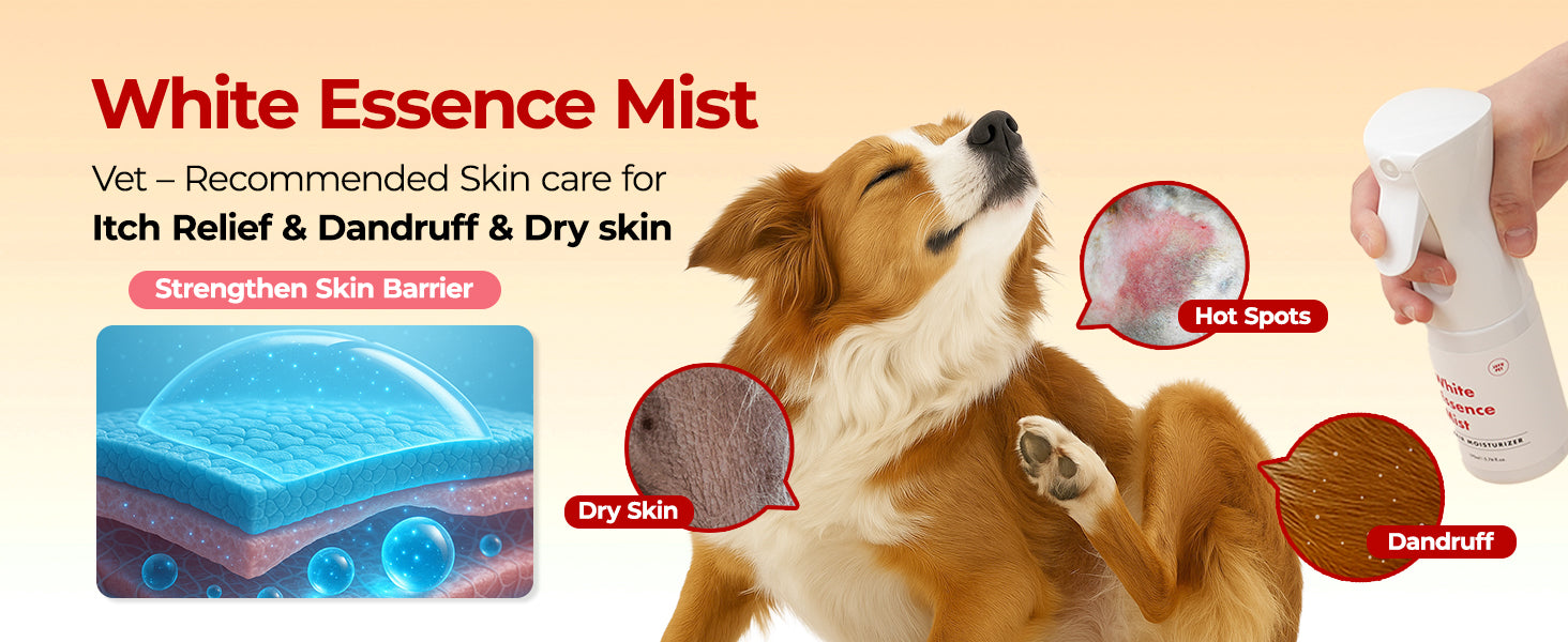 JAYU PET White Essence Mist premium content