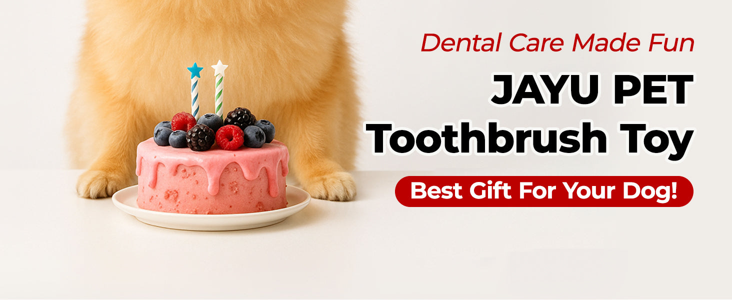 JAYU PET Toothbrush Toy features