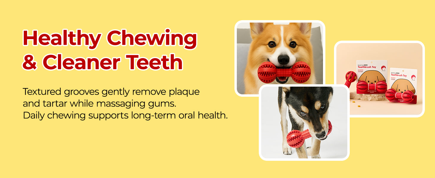 JAYU PET Toothbrush Toy premium content