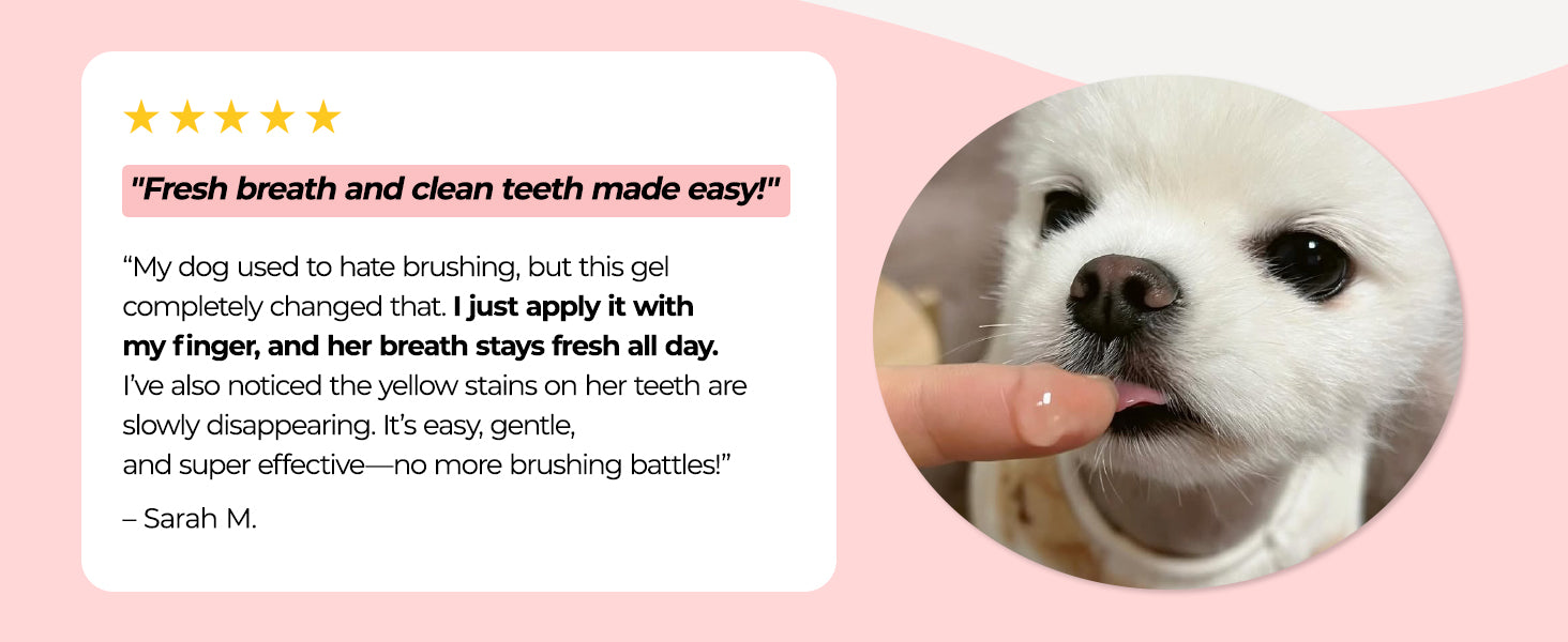 JAYU PET Dental Gel premium content