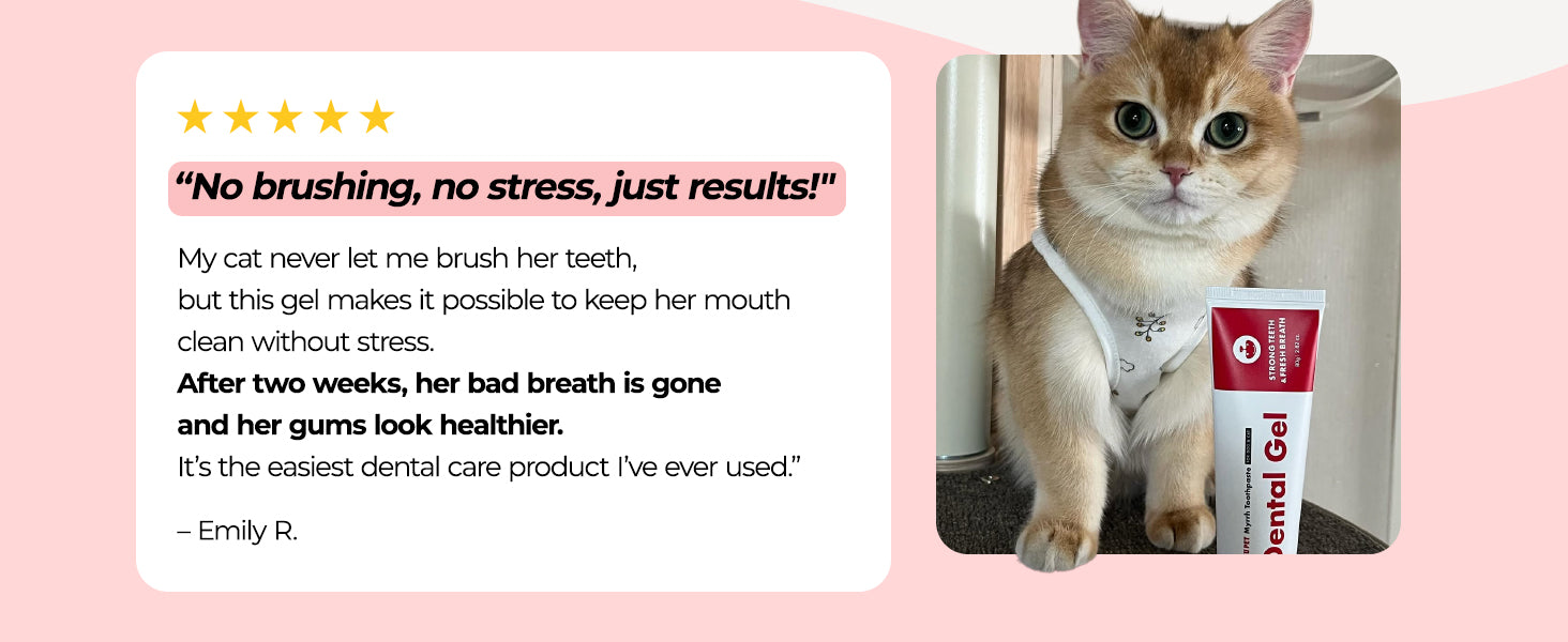 JAYU PET Dental Gel premium content