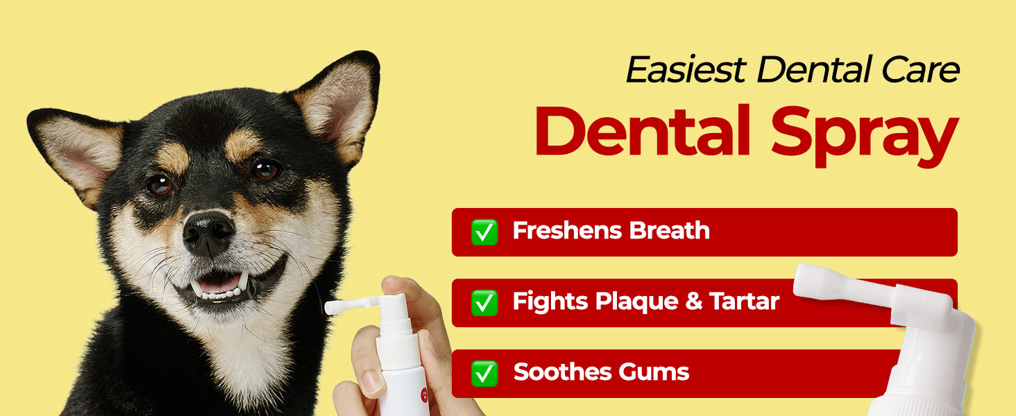 JAYU PET Dental Spray premium content