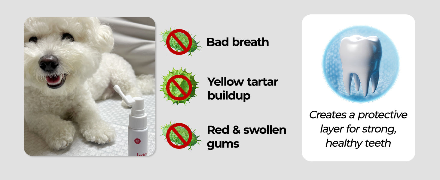 JAYU PET Dental Spray customer review