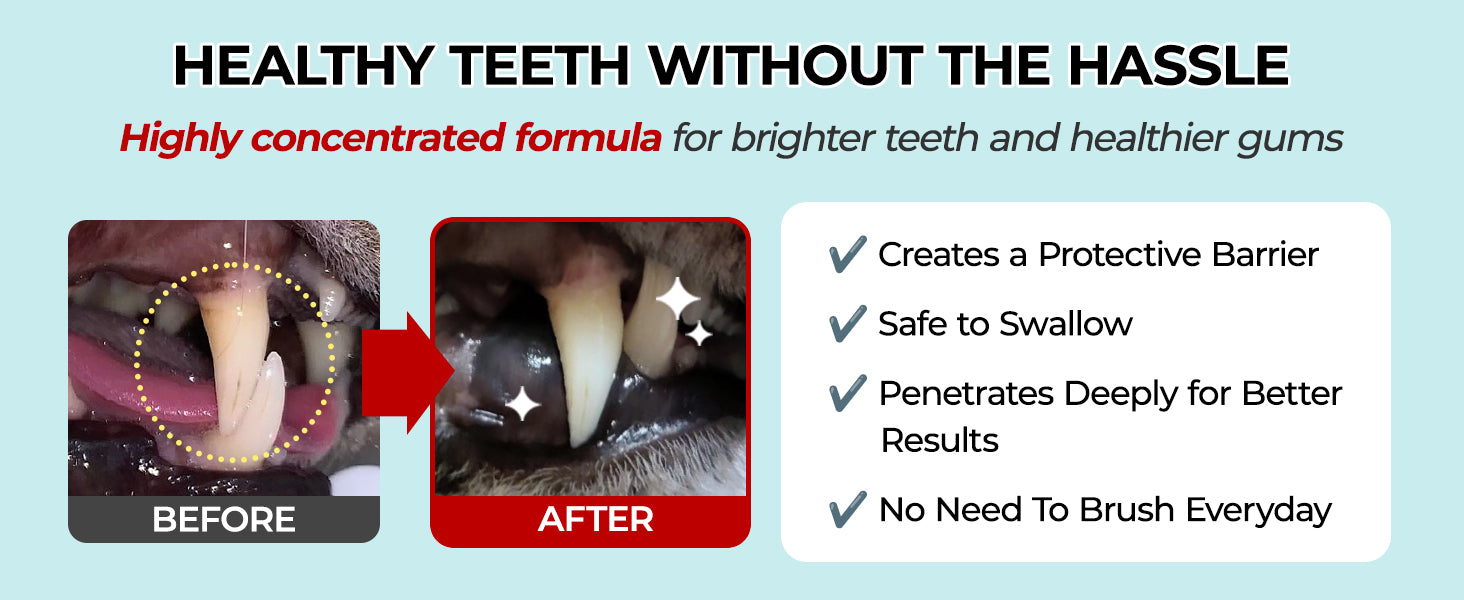 JAYU PET Dental Spray daily oral care